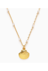 Scallop Shell and Pearls Necklace
