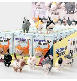 Best Friend Cat Figure Keyring Blind Box