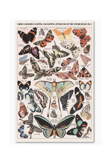 "Butterfly" Print - 11 x 17"