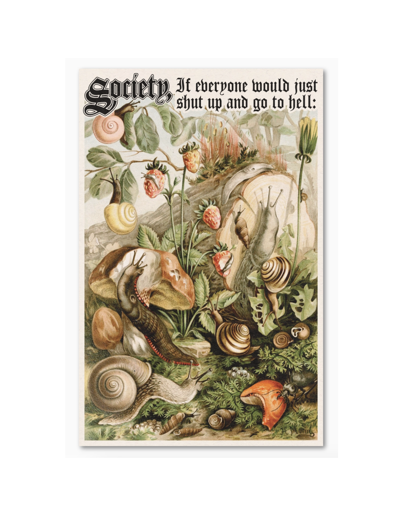 Society Print - 11" x 17"