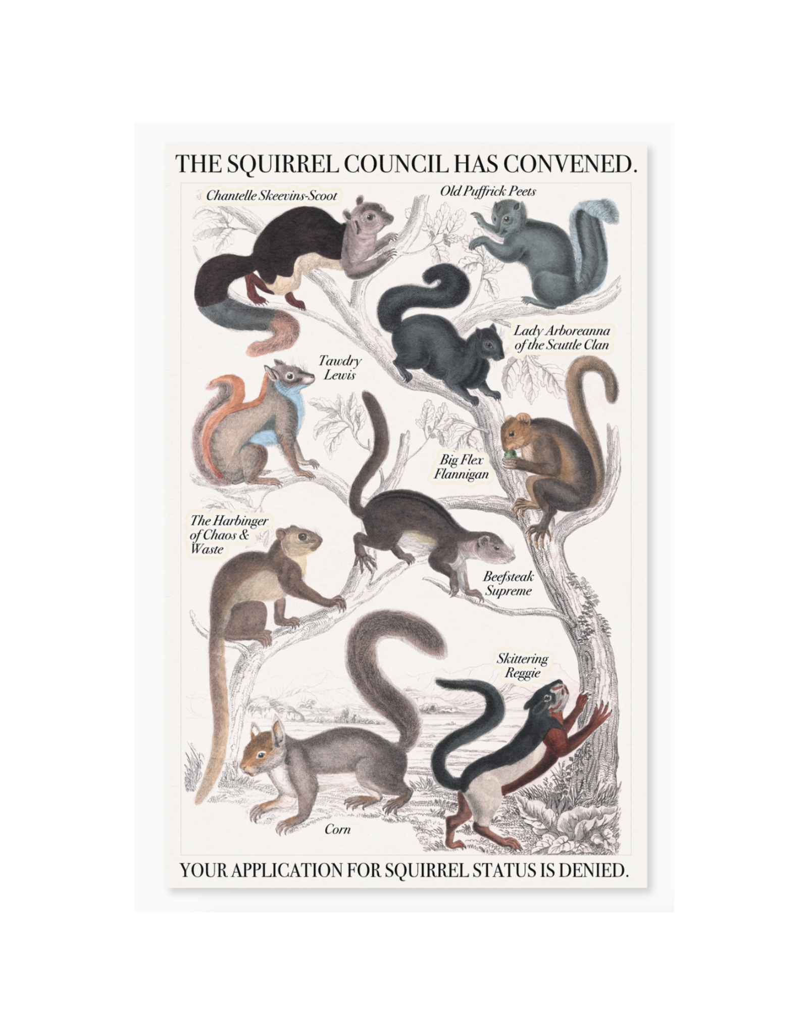 Squirrel Council Print - 11" x 17"