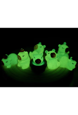 Capybara Glow in the Dark Blind Box