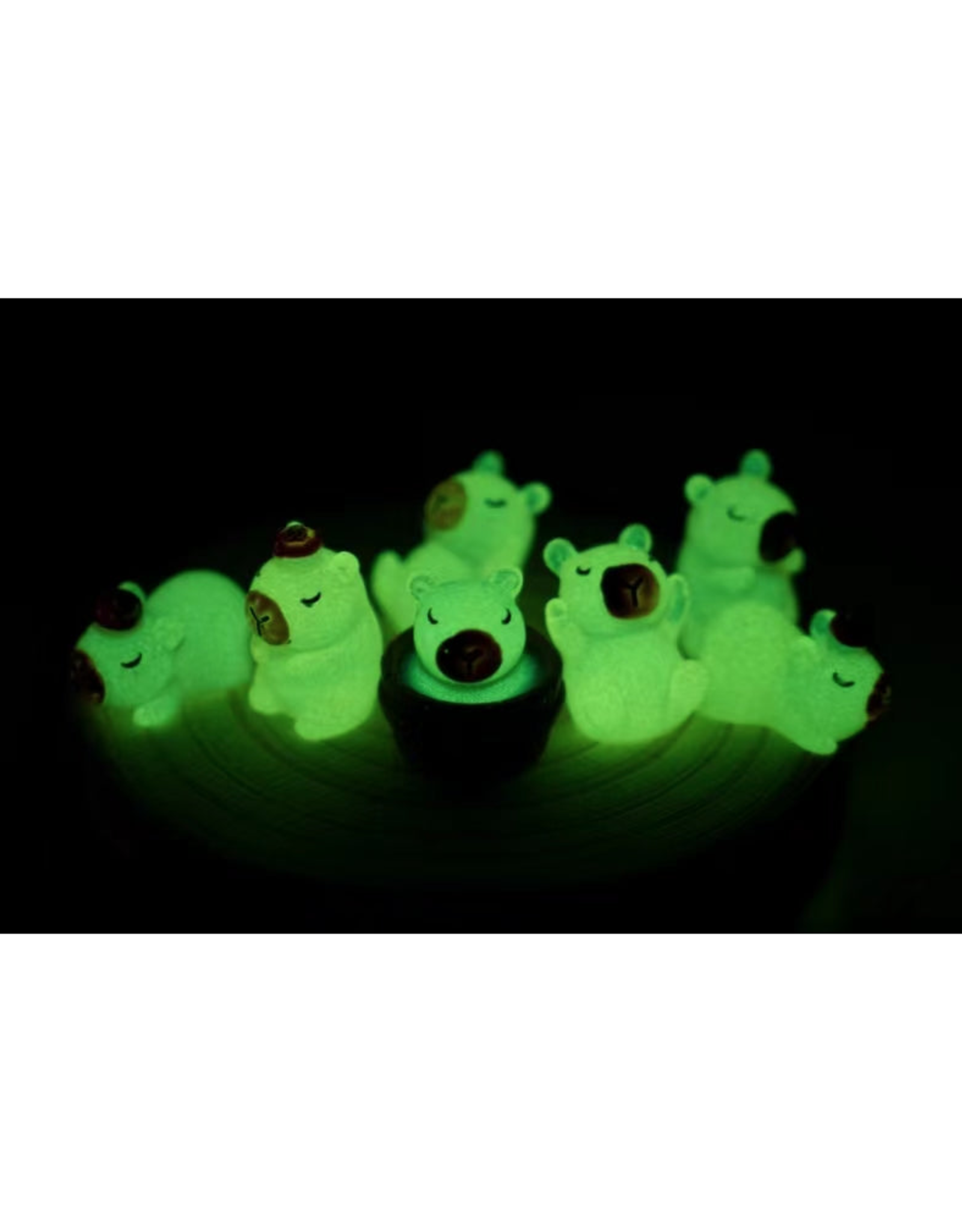 Capybara Glow in the Dark Blind Box
