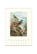 2026 Wall Calendar : Bird Watching