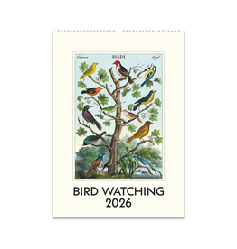 2026 Wall Calendar : Bird Watching