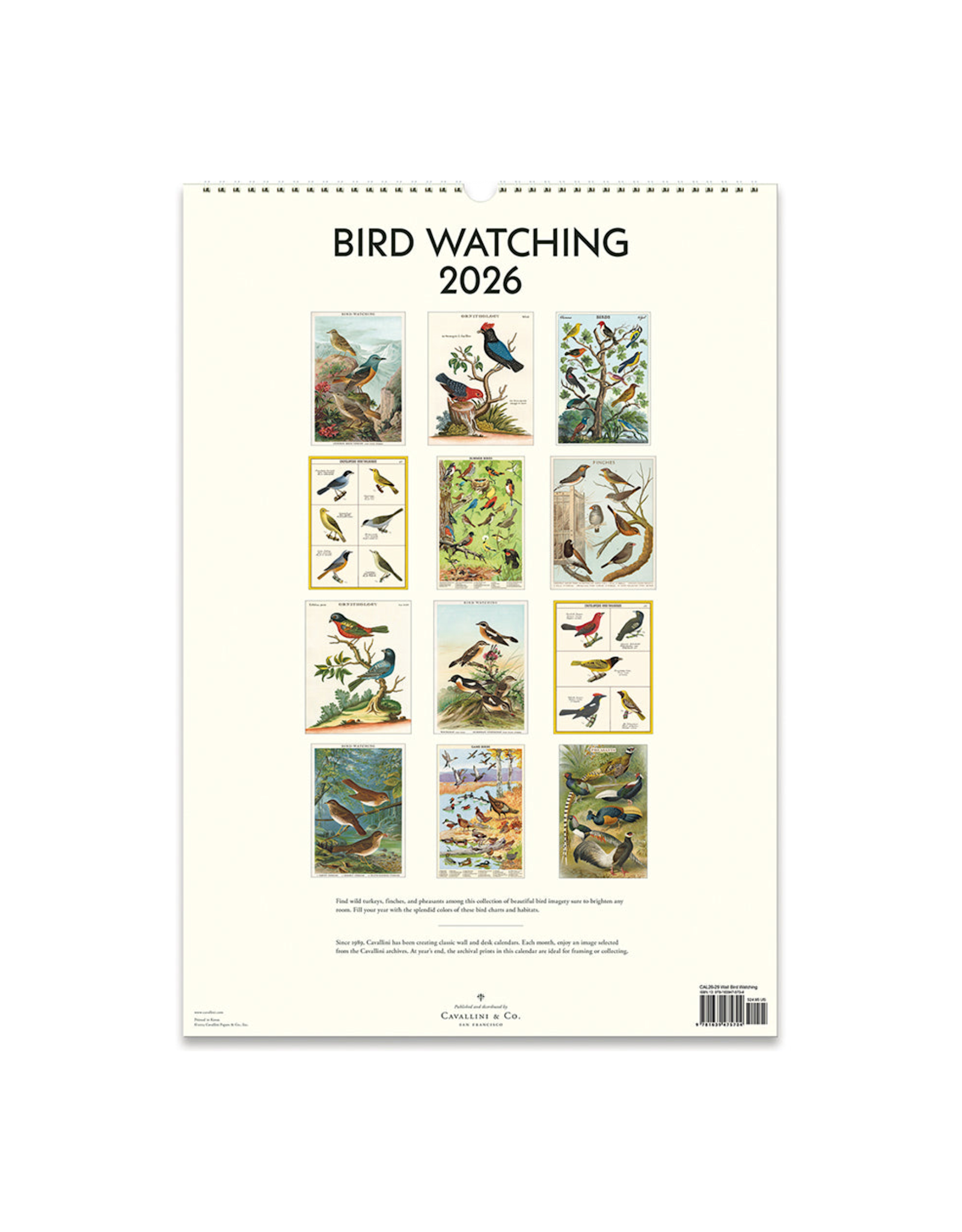 2026 Wall Calendar : Bird Watching
