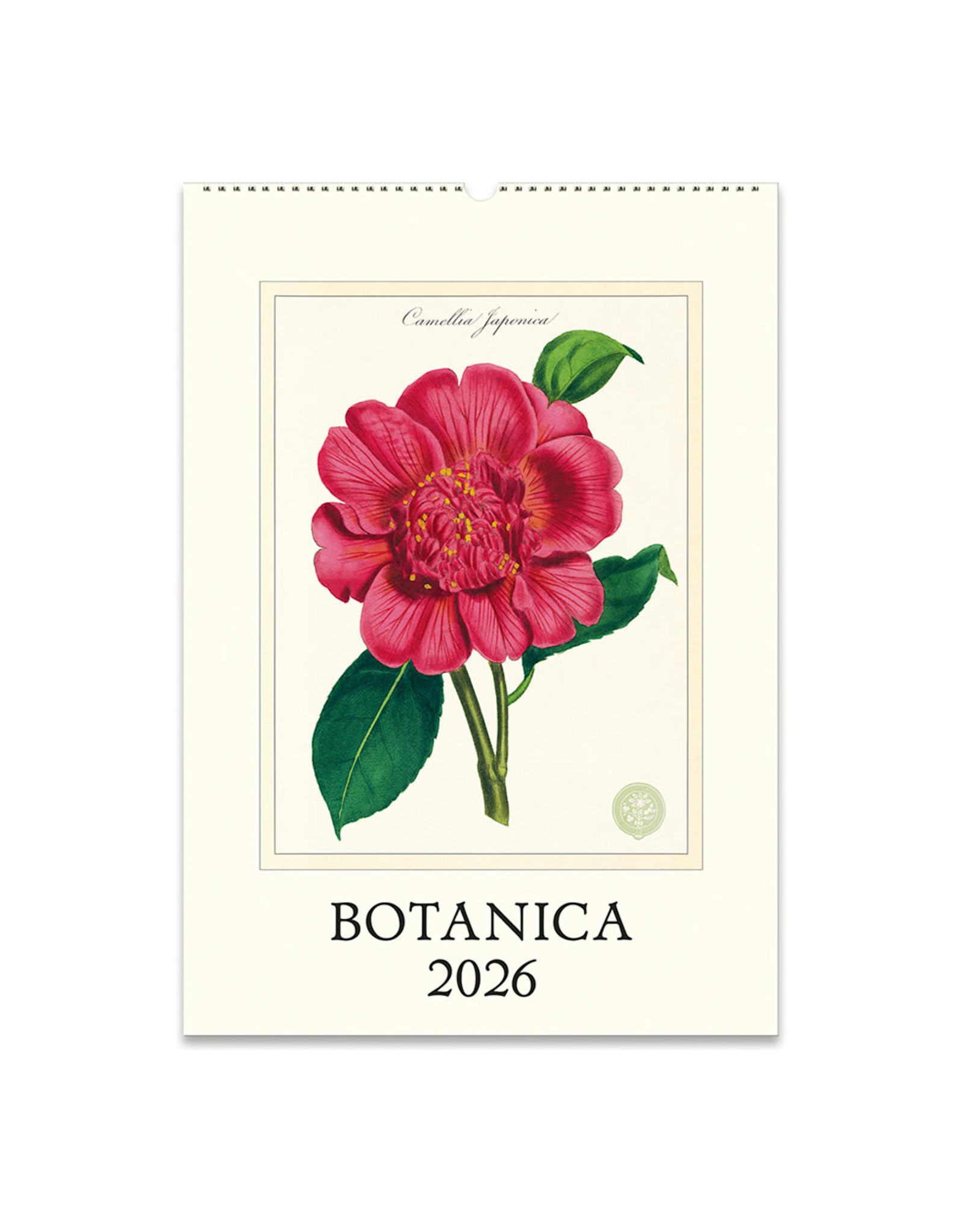 2026 Wall Calendar : Botanica
