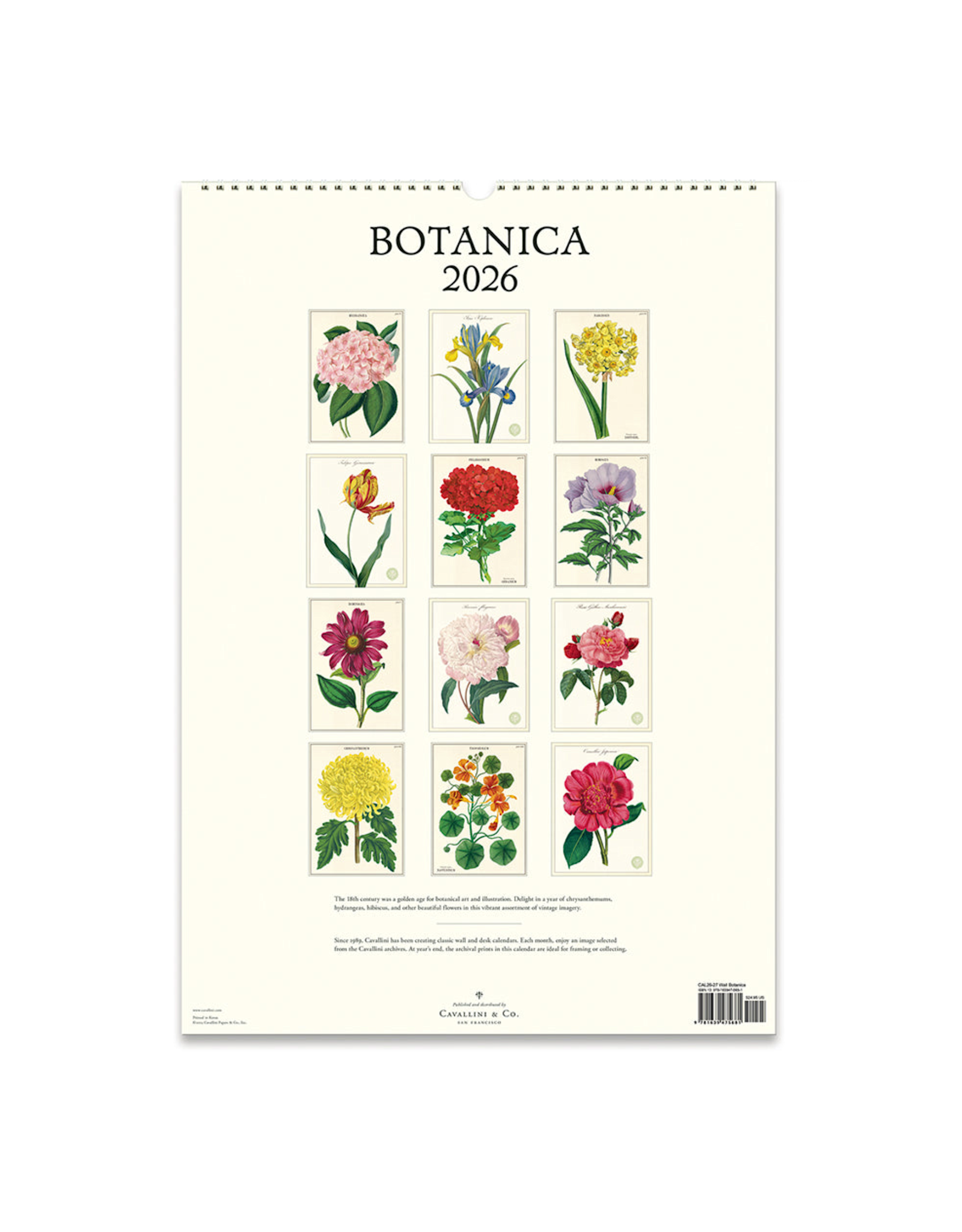2026 Wall Calendar : Botanica