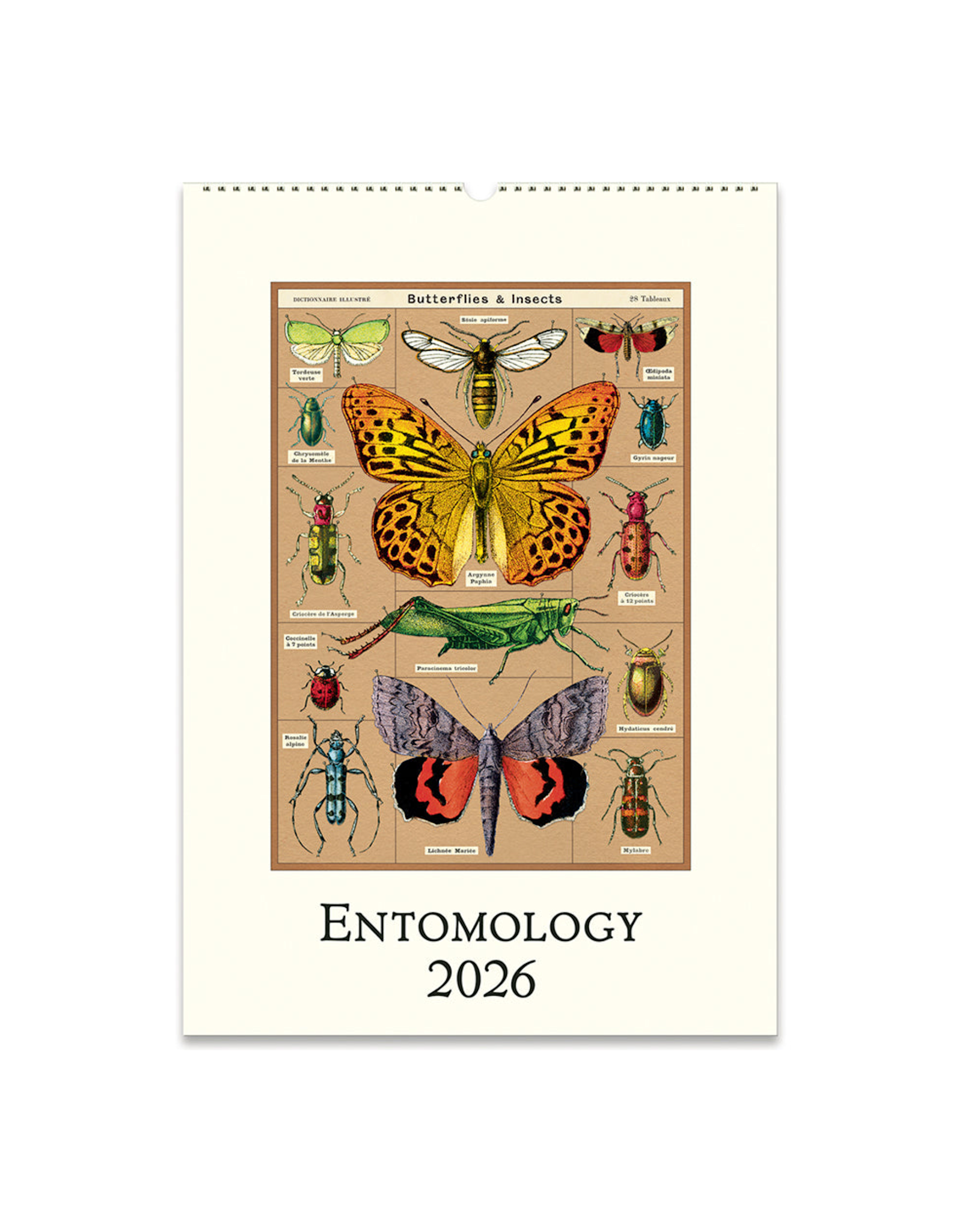 2026 Wall Calendar : Entomology
