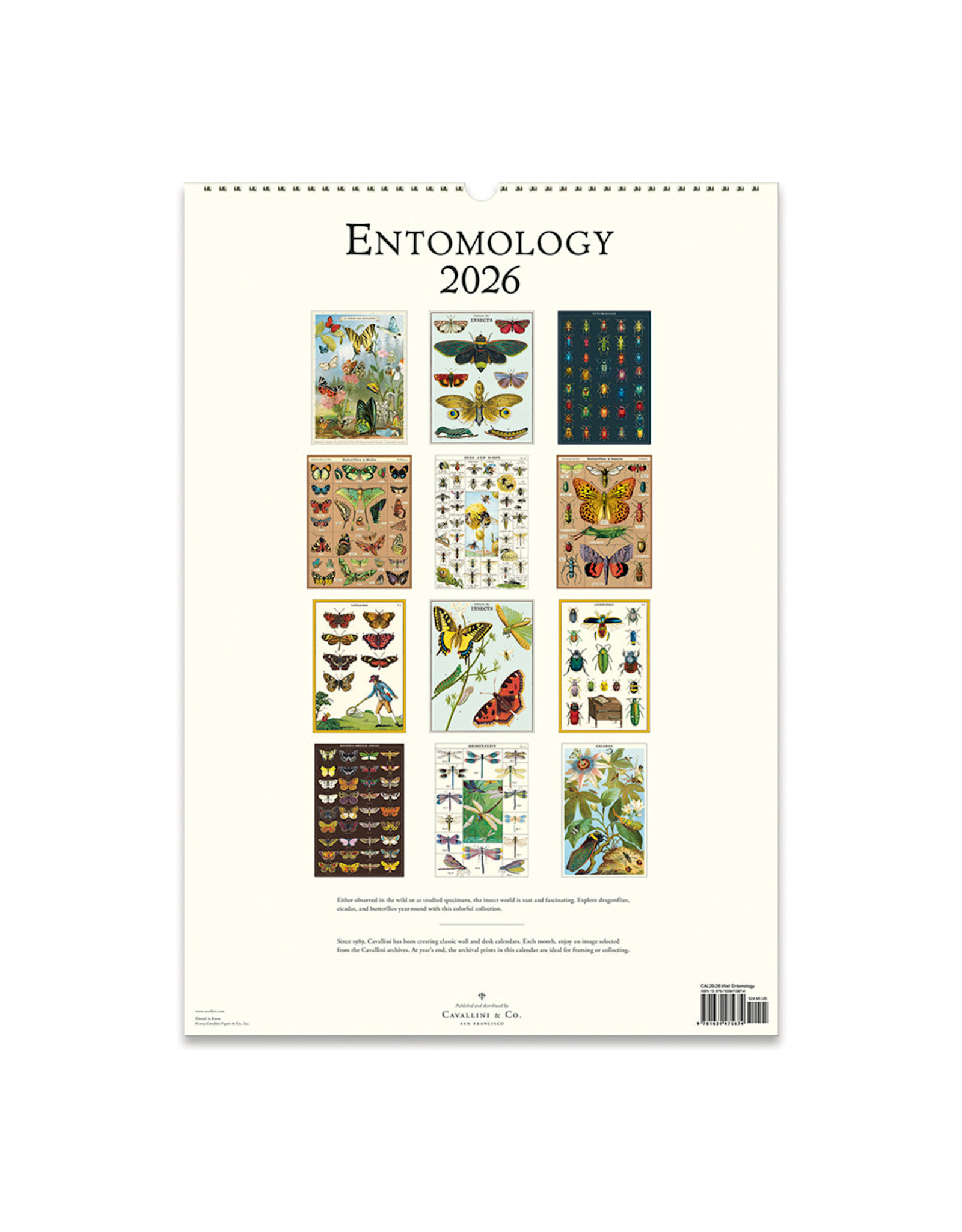 2026 Wall Calendar : Entomology