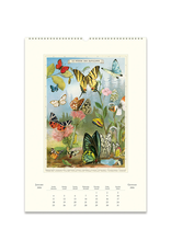 2026 Wall Calendar : Entomology