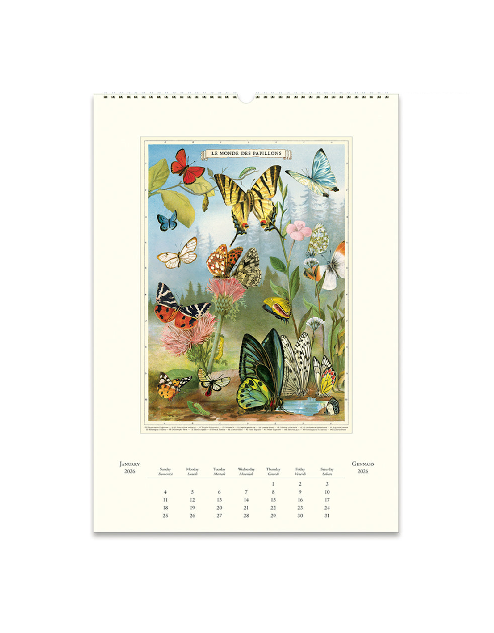 2026 Wall Calendar : Entomology