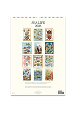 2026 Wall Calendar : Sea Life