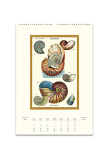 2026 Wall Calendar : Sea Life