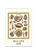 2026 Wall Calendar : Sea Life