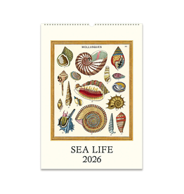 2026 Wall Calendar : Sea Life