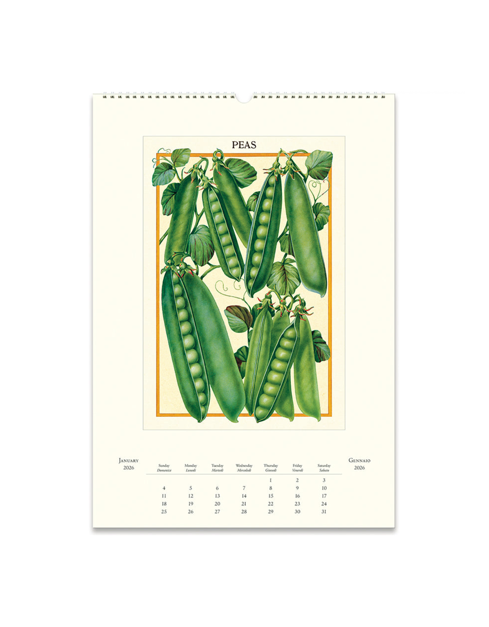 2026 Wall Calendar : Farmer's Market