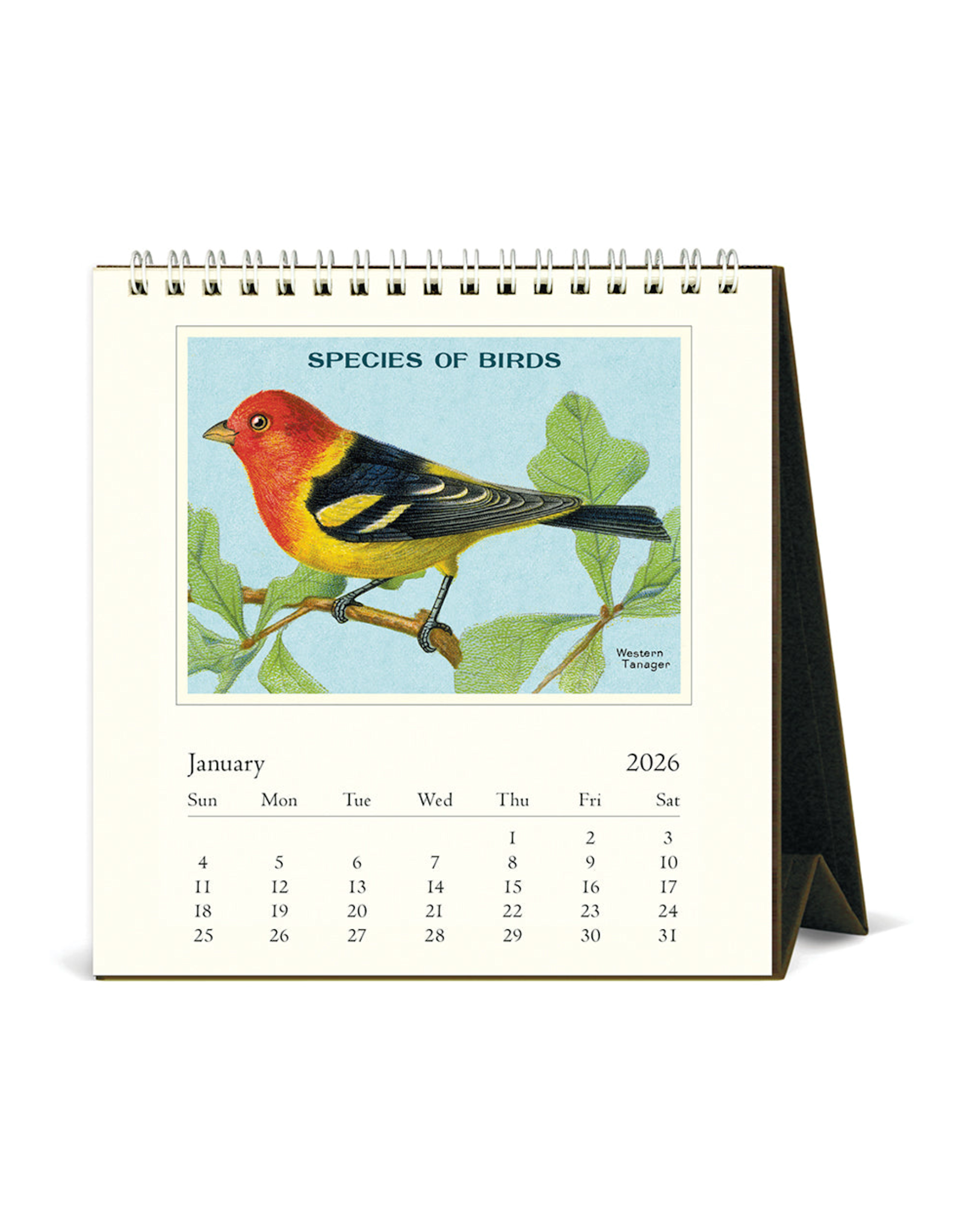 2026 Desk Calendar: Vintage Birds