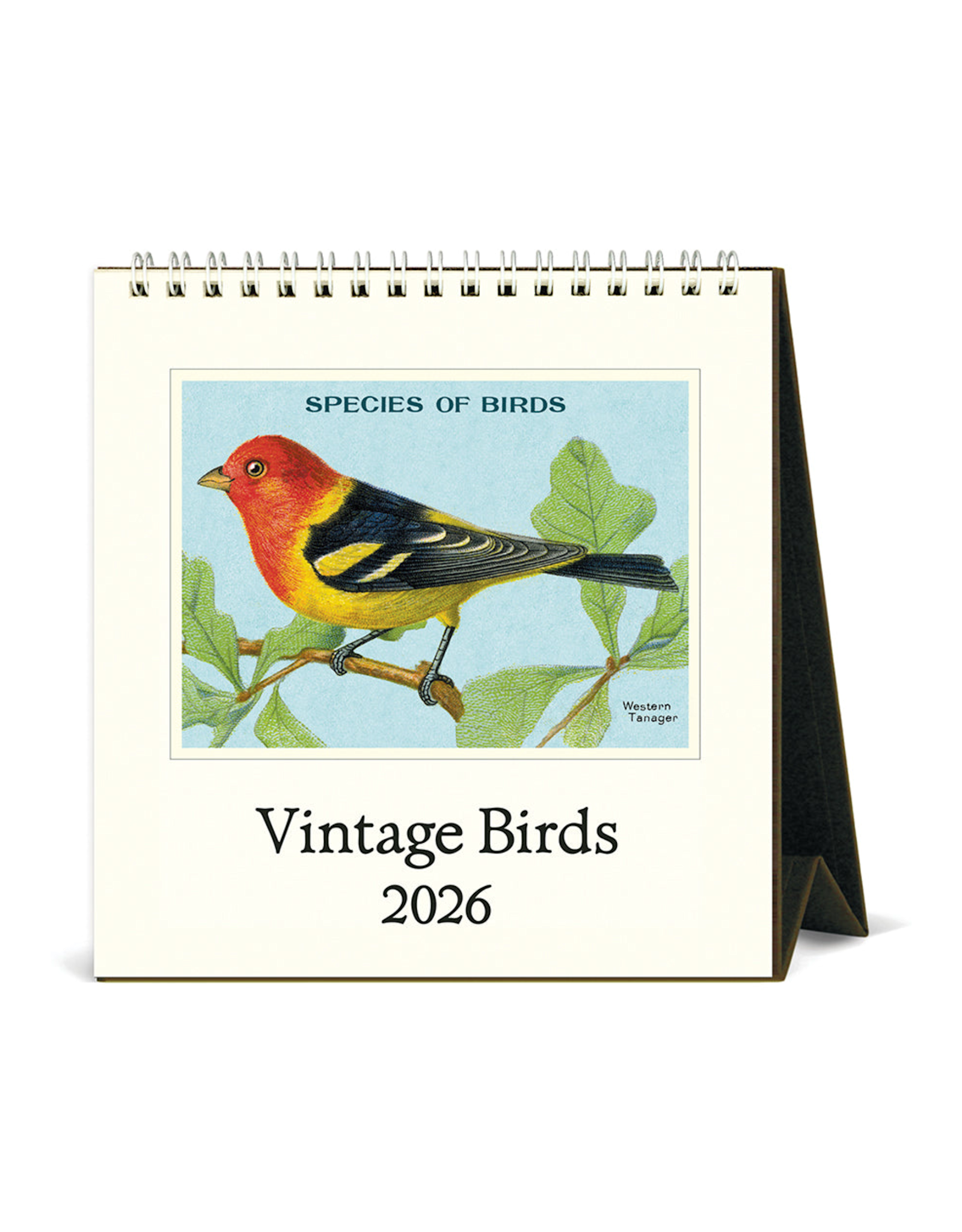 2026 Desk Calendar: Vintage Birds