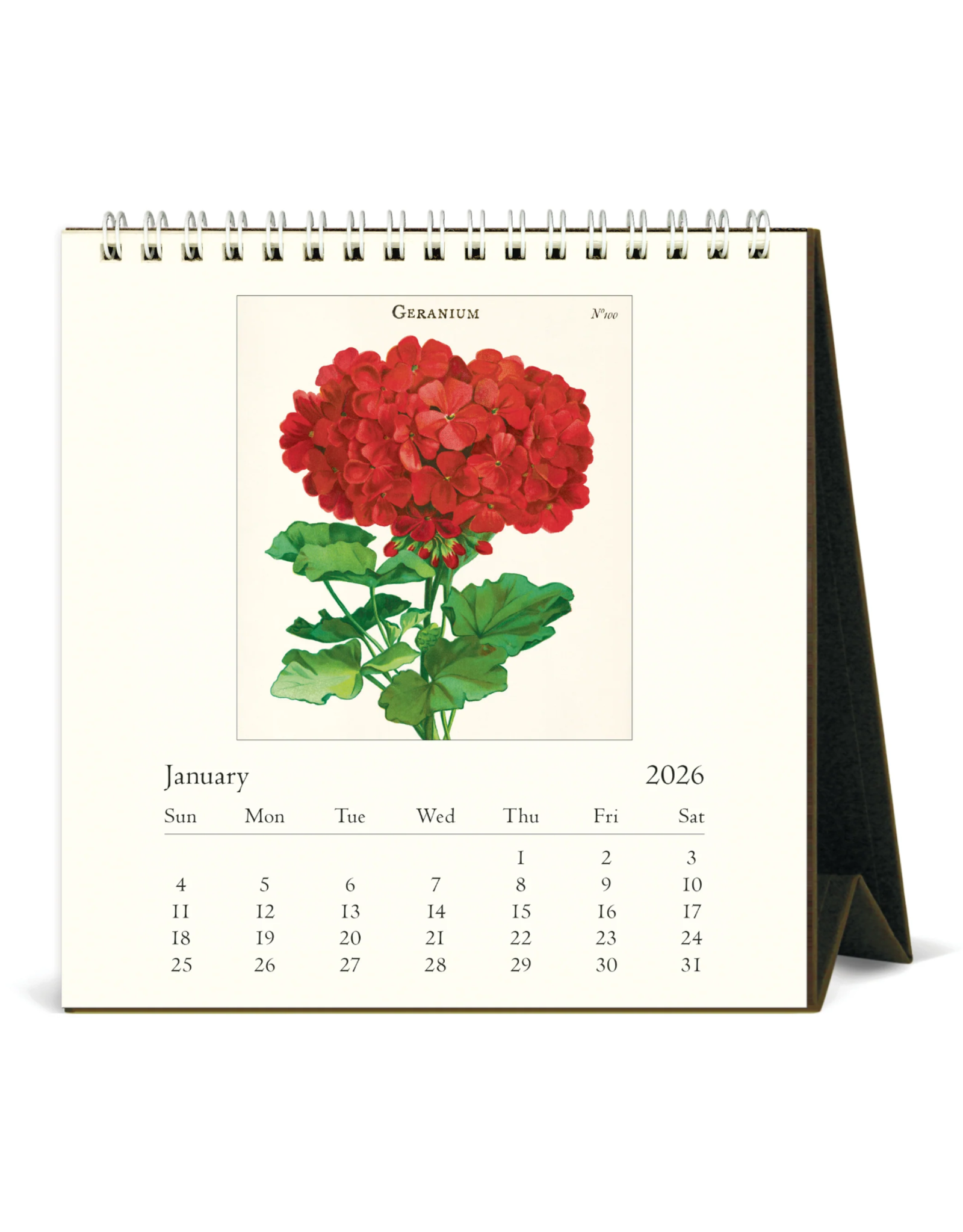 2026 Desk Calendar: Botanica