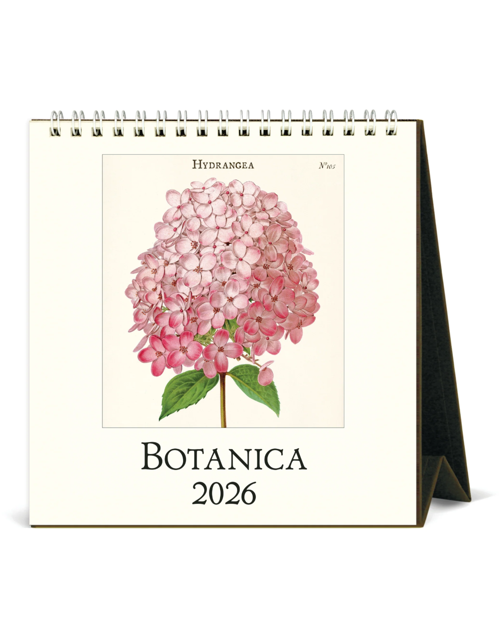 2026 Desk Calendar: Botanica