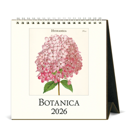 2026 Desk Calendar: Botanica