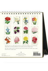 2026 Desk Calendar: Botanica