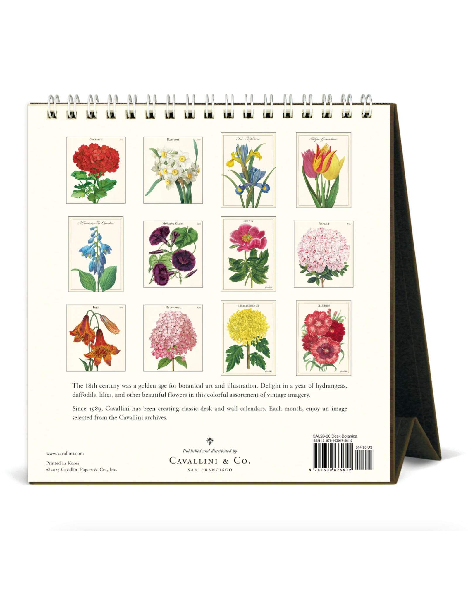 2026 Desk Calendar: Botanica