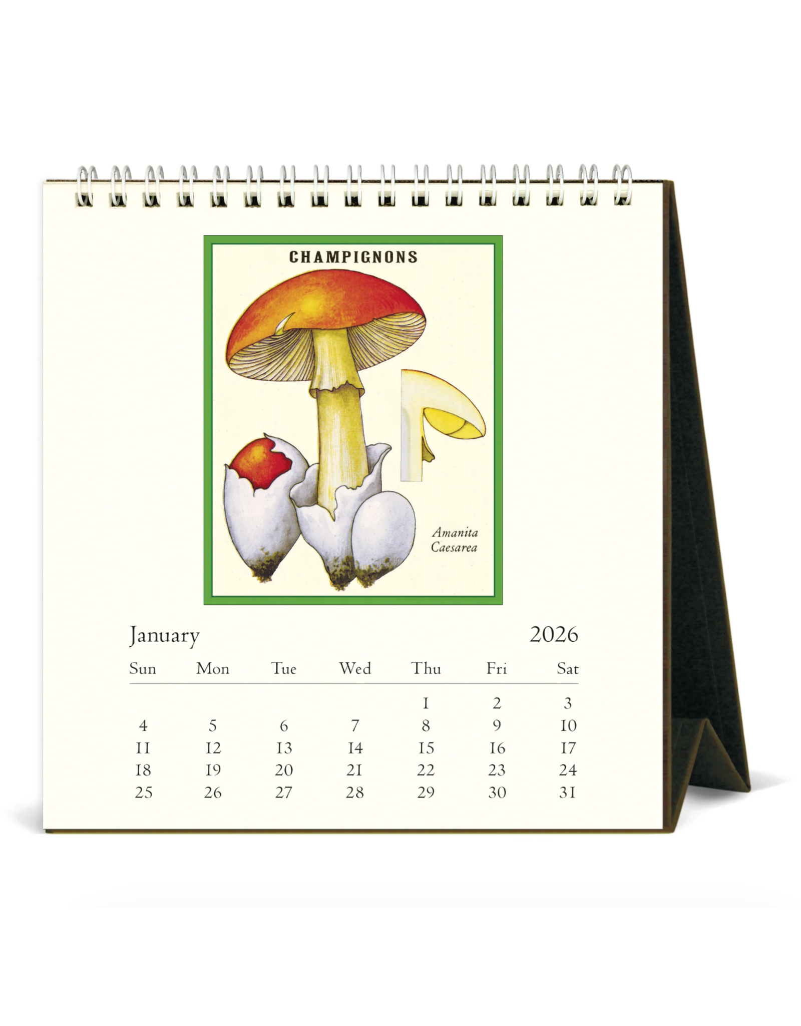 2026 Desk Calendar: Foraging