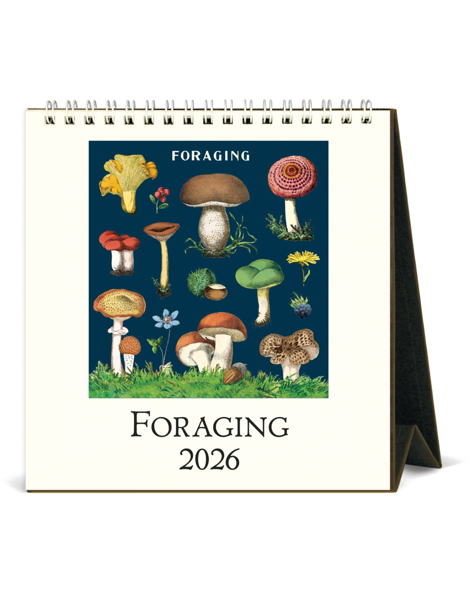 2026 Desk Calendar: Foraging