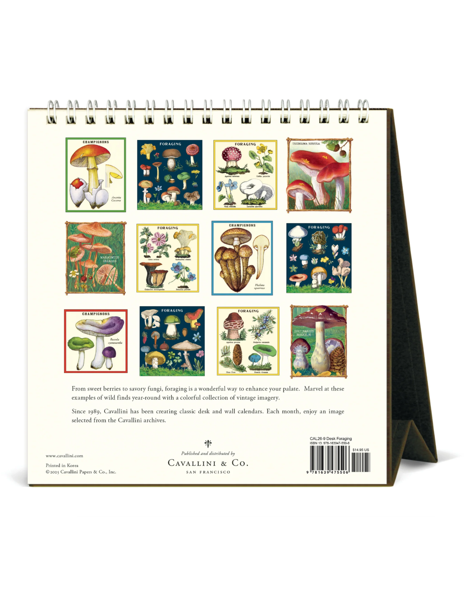2026 Desk Calendar: Foraging