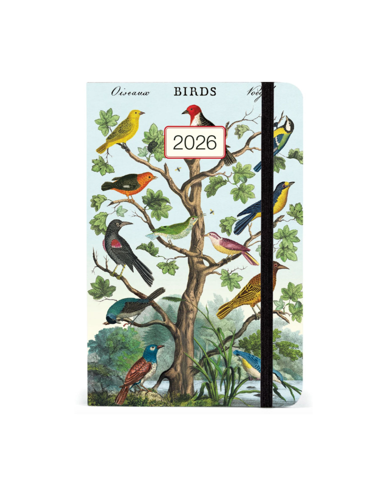 2026 Weekly Planner: Birds