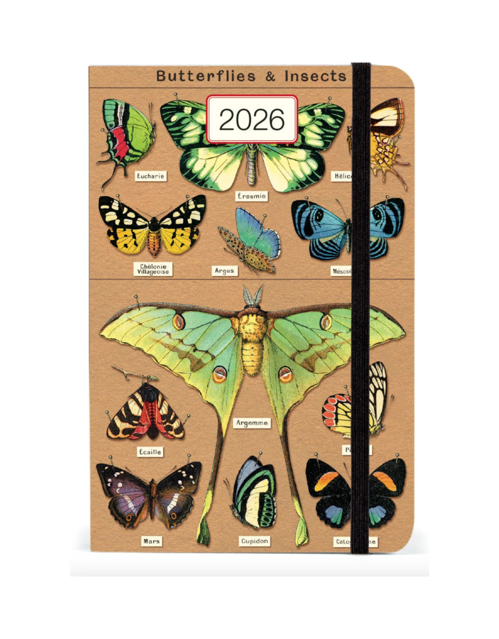 2026 Weekly Planner: Entomology