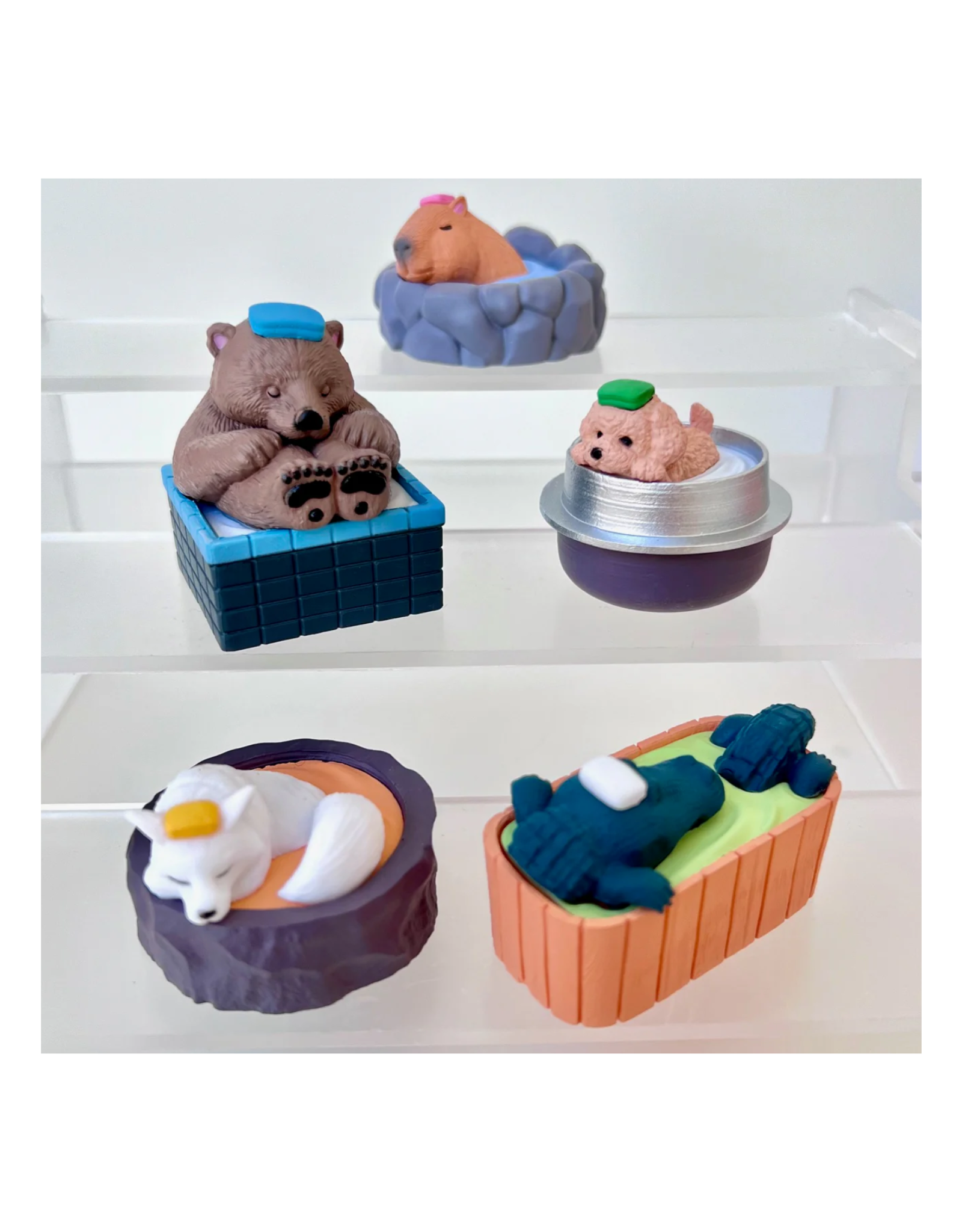 Hot Spring Animals Blind Box