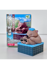Hot Spring Animals Blind Box