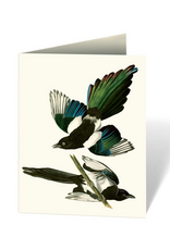 Audubon's Birds of America Notecard Set