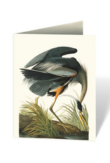Audubon's Birds of America Notecard Set