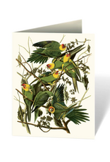 Audubon's Birds of America Notecard Set