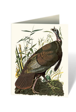 Audubon's Birds of America Notecard Set