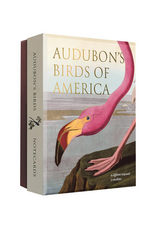 Audubon's Birds of America Notecard Set