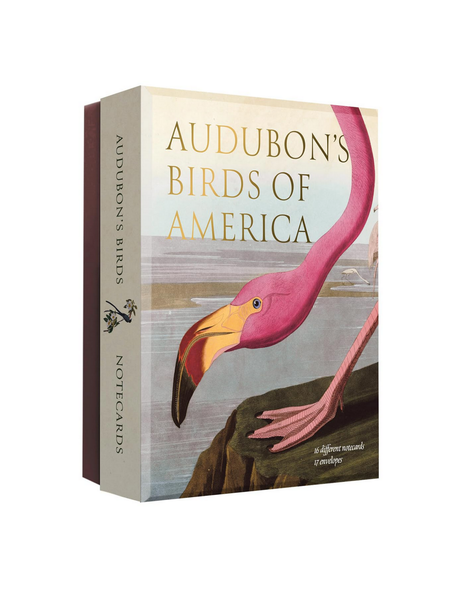 Audubon's Birds of America Notecard Set