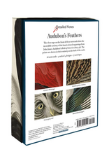Audubon's Feathers: Detailed Notecard Set