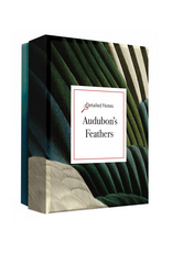 Audubon's Feathers: Detailed Notecard Set