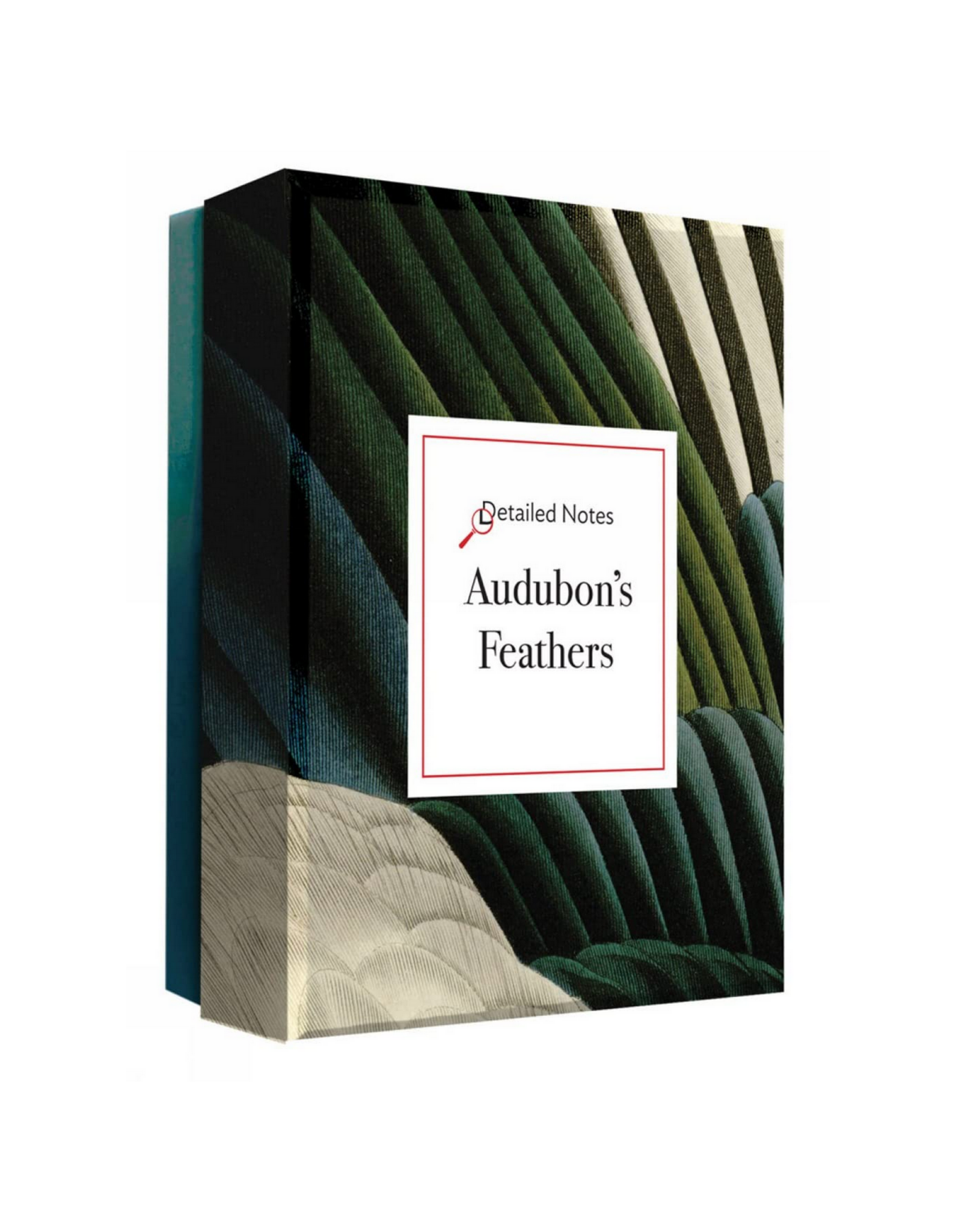 Audubon's Feathers: Detailed Notecard Set