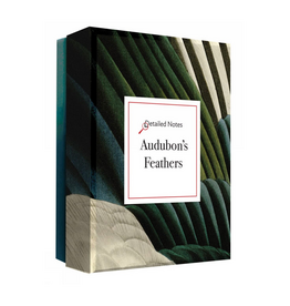 Audubon's Feathers: Detailed Notecard Set