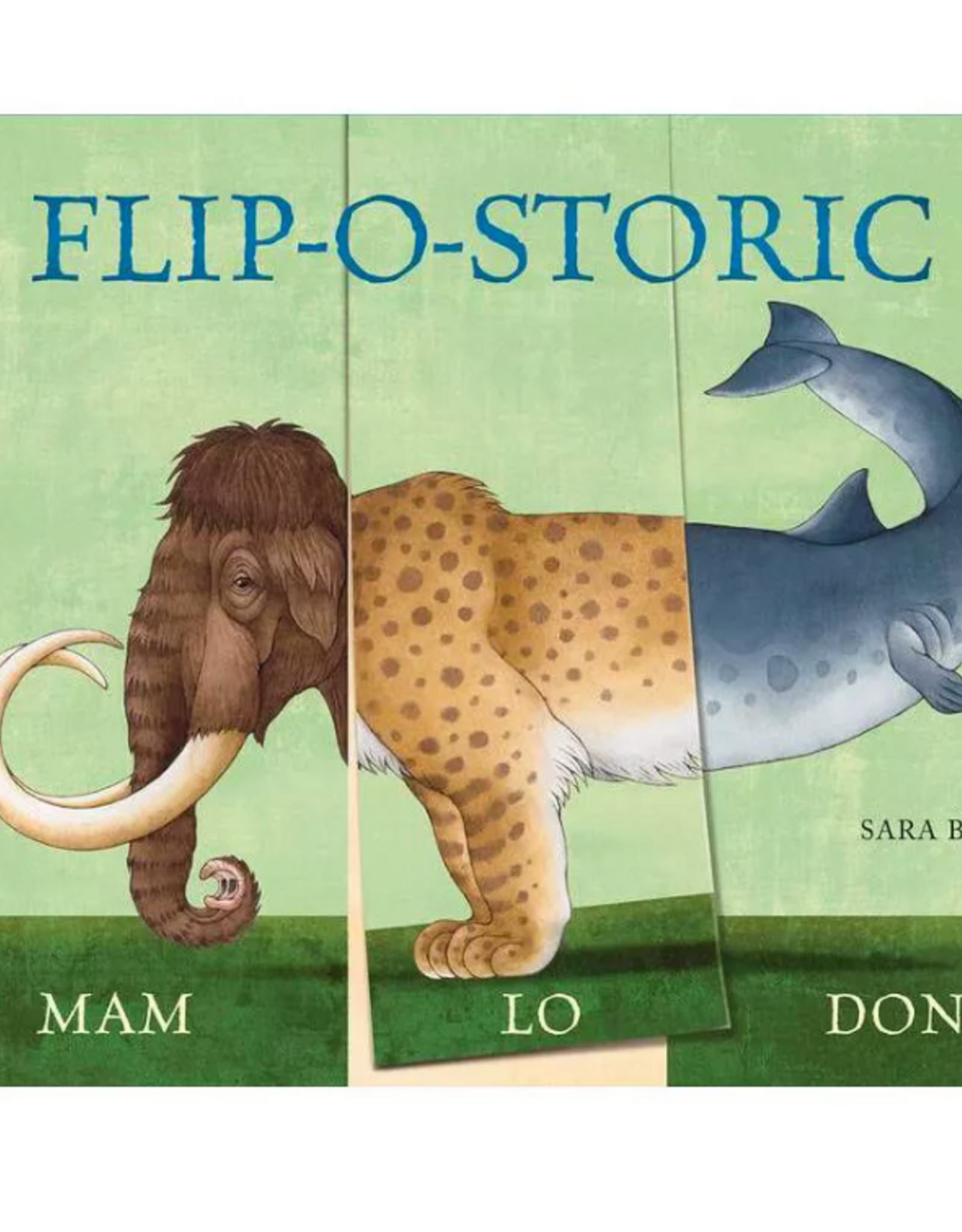 Flip-O-Storic