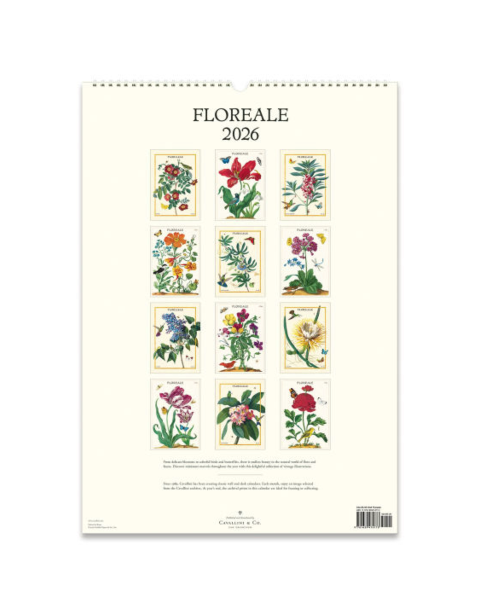 2026 Wall Calendar : Floreale