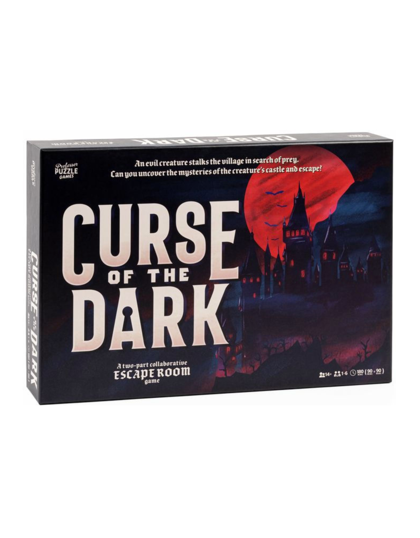 professor puzzle Curse of the Dark Escape Room
