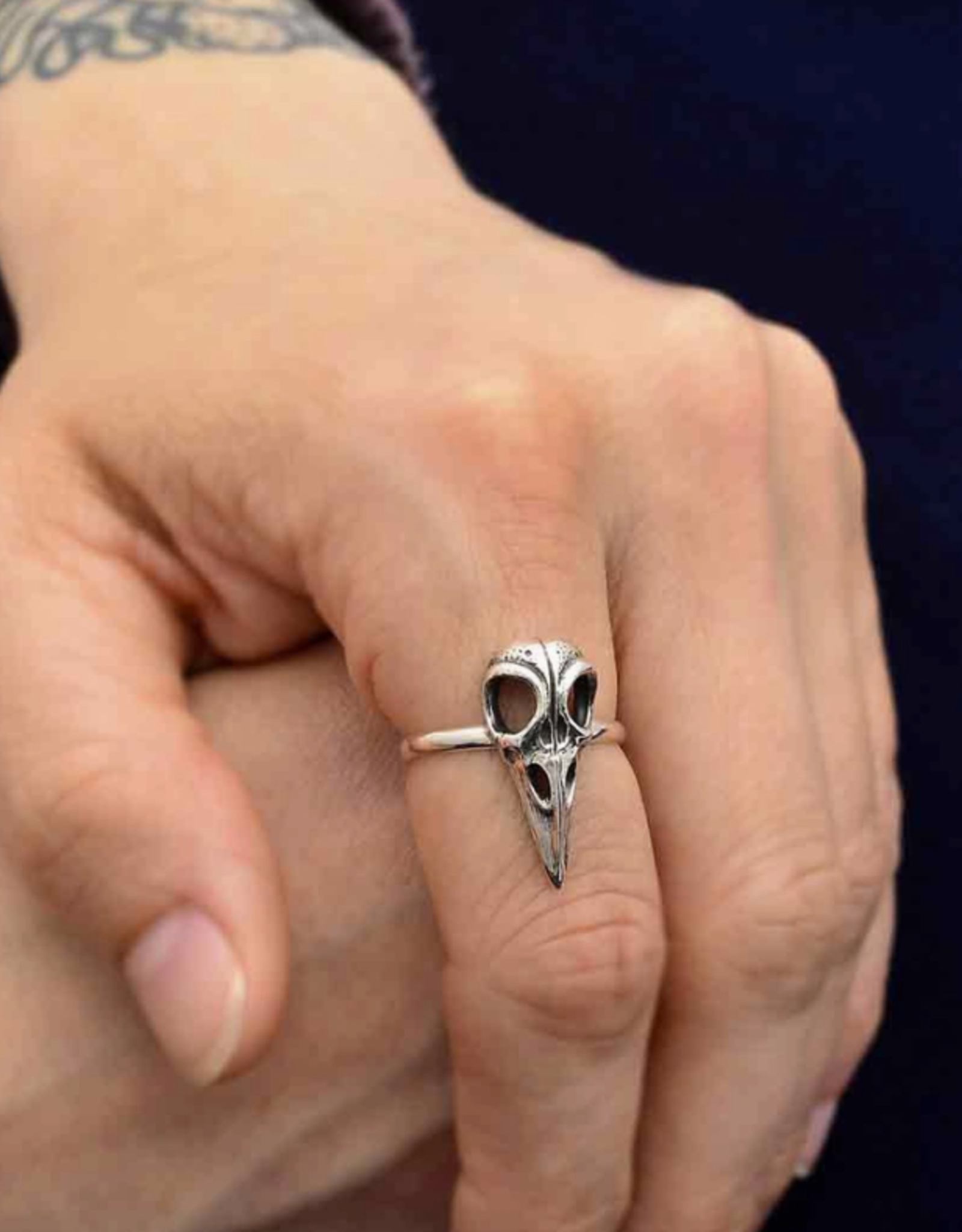 Sterling Silver Raven Skull Ring