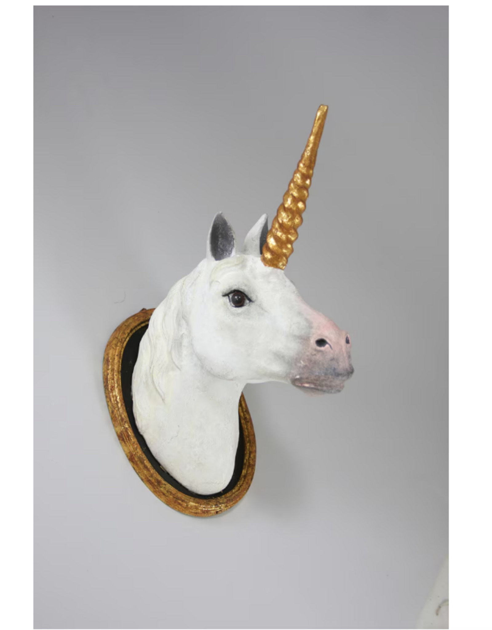 Unicorn Mount - Curbside Pick Up Only
